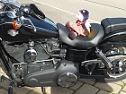 Bild: Harley-Davidson-Schlenkerbiene&nbsp;&ndash; Klick zum Vergr&ouml;&szlig;ern