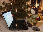 Bild: Weihnachtslaptopschlenkerbiene&nbsp;&ndash; Klick zum Vergr&ouml;&szlig;ern