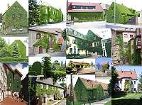 Bild: bewachsenes Haus-Collage&nbsp;&ndash; Klick zum Vergr&ouml;&szlig;ern