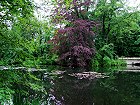 Bild: Parkteich 01&nbsp;&ndash; Klick zum Vergr&ouml;&szlig;ern