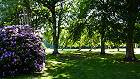 Bild: Rhododentron im Park&nbsp;&ndash; Klick zum Vergr&ouml;&szlig;ern