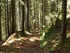 Bild: Waldweg 3&nbsp;&ndash; Klick zum Vergr&ouml;&szlig;ern