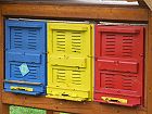 Bild: Bienenstock 01&nbsp;&ndash; Klick zum Vergr&ouml;&szlig;ern