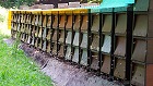 Bild: Bienenstock 03&nbsp;&ndash; Klick zum Vergr&ouml;&szlig;ern