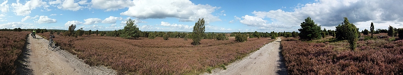 L&uuml;neburger Heide (Deutschland)